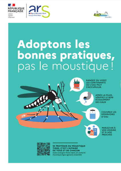 moustique