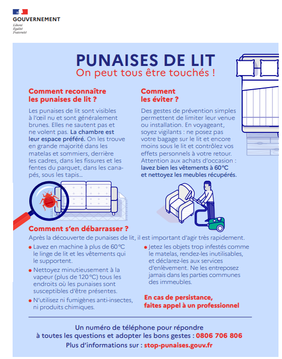 punaise