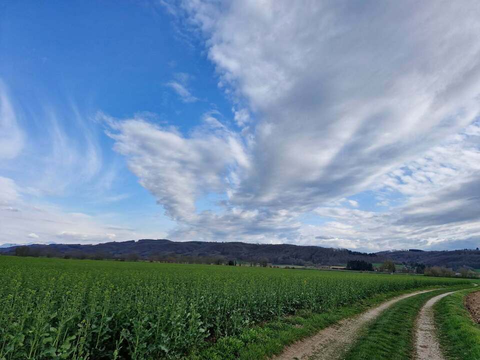 Avril 2025 (27)