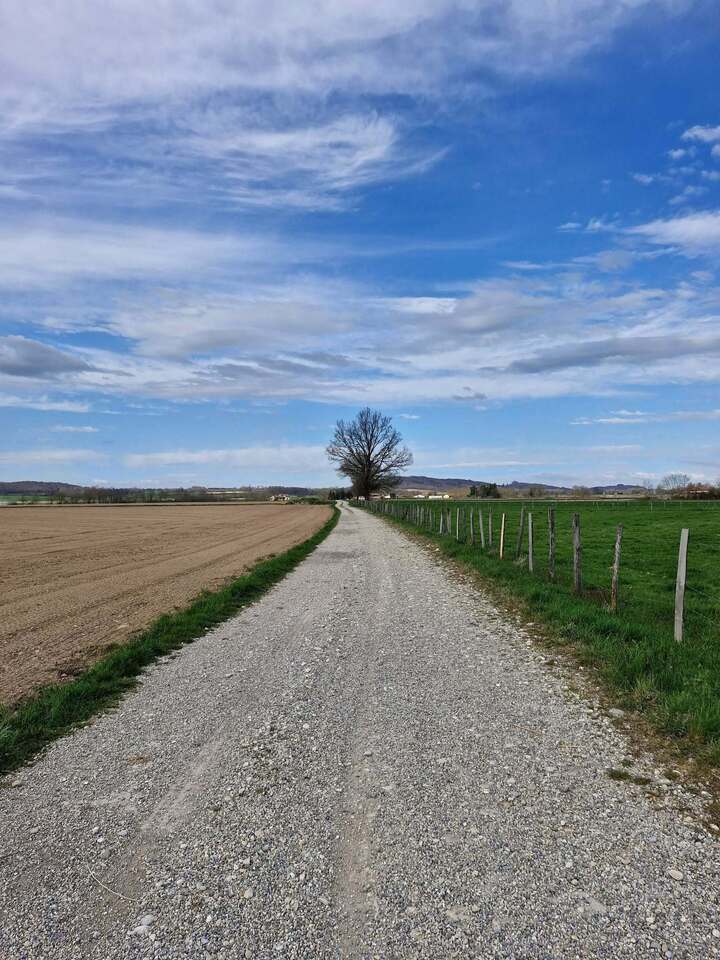 Avril 2025 (28)