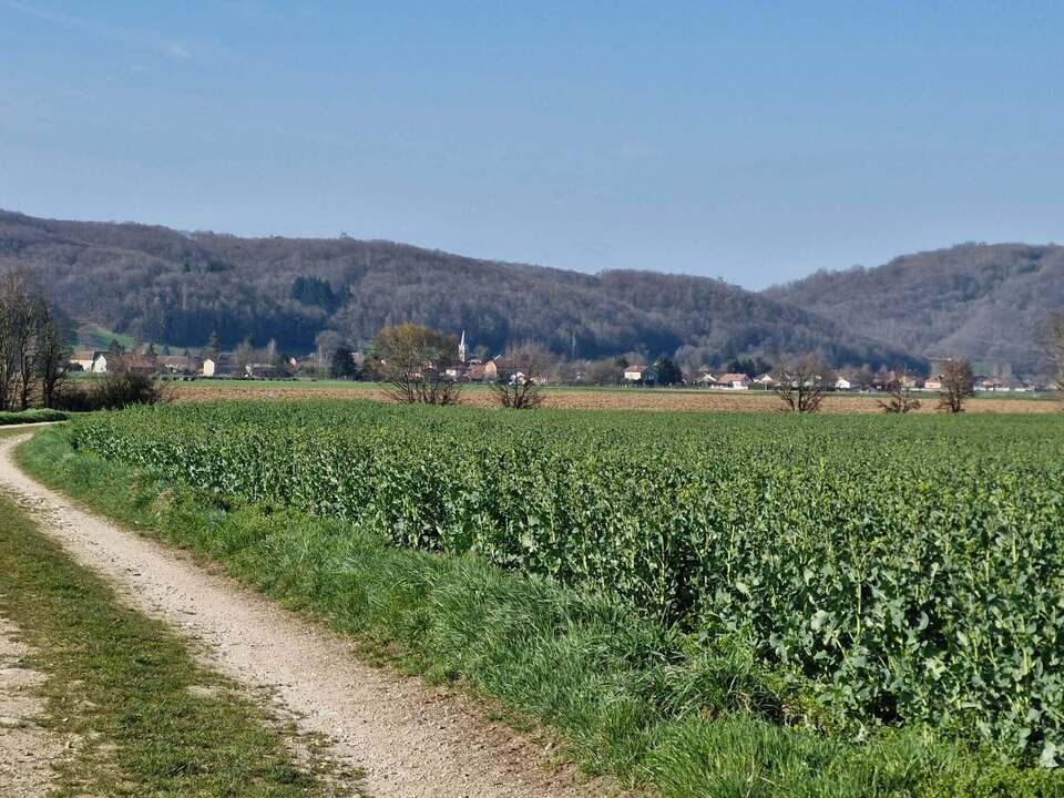 Avril 2025 (29)