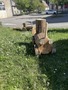 Avril 2026 (27)