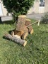 Avril 2026 (29)