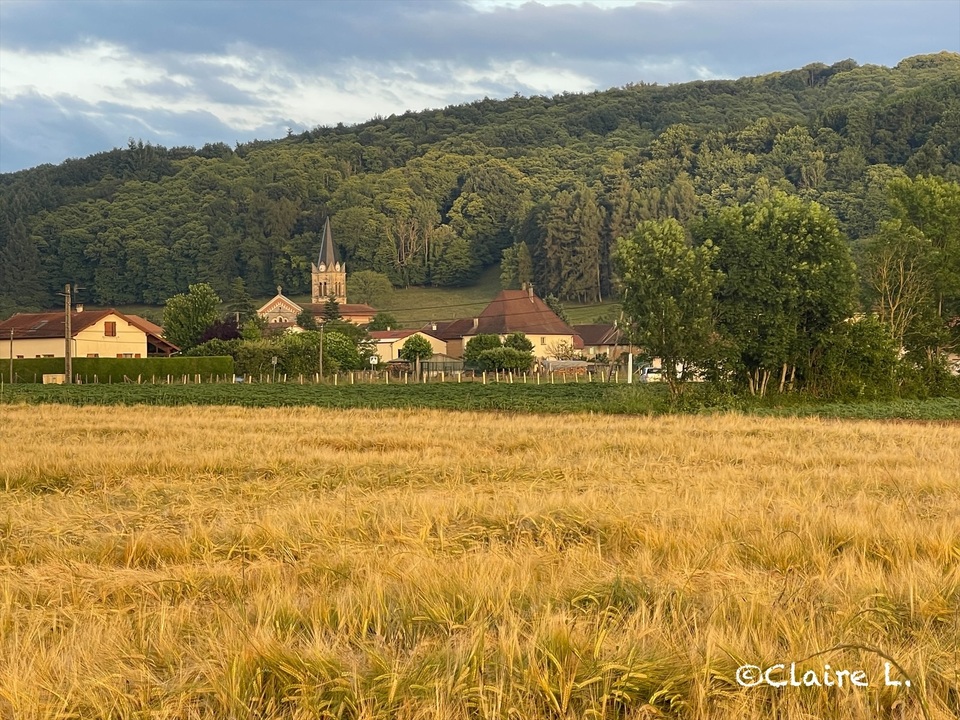 Juin 2025 (14).JPG