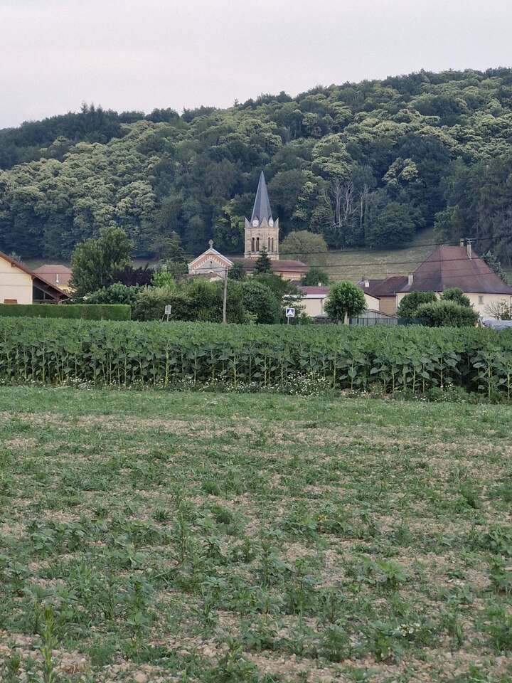 Juin 2025 (47)