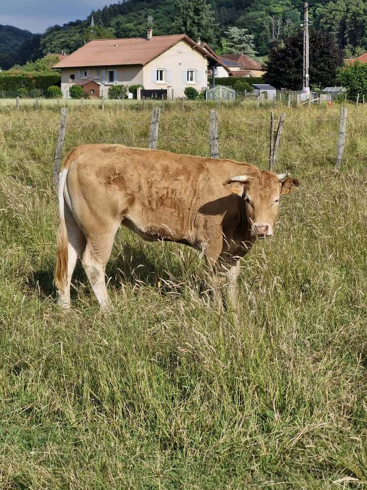 Juin 2025 (60)
